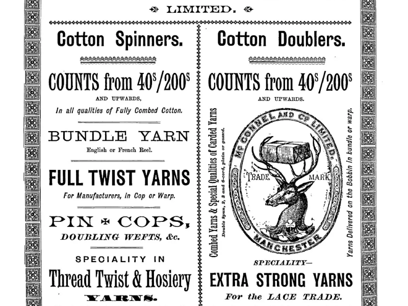 Carolina Connections